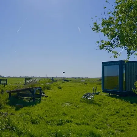 De Ijsvogel * Wijdewormer