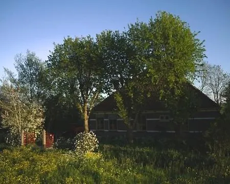 De Ijsvogel
