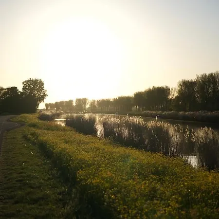 De Ijsvogel