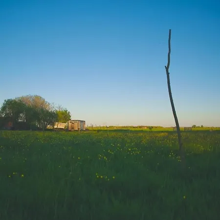 Tatil Evi De Ijsvogel *