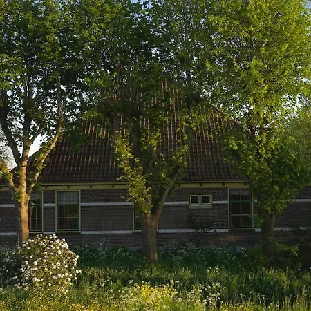 Tatil Evi De Ijsvogel