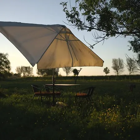 De Ijsvogel Tatil Evi *